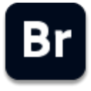 Adobe Bridge 2021